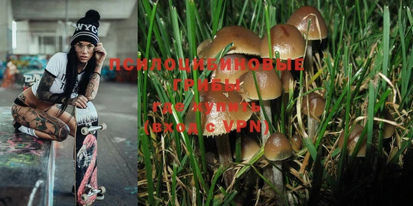 PSILOCYBIN Липки