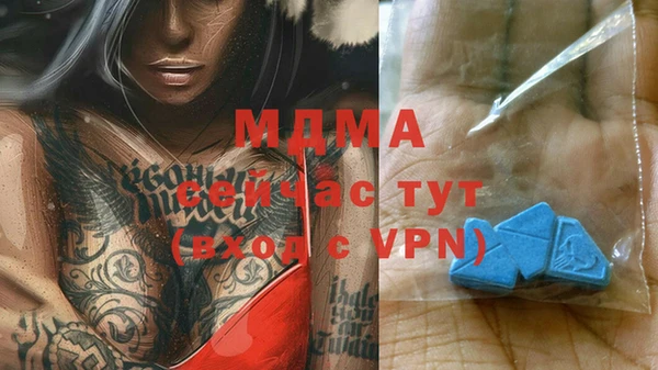 PSILOCYBIN Липки