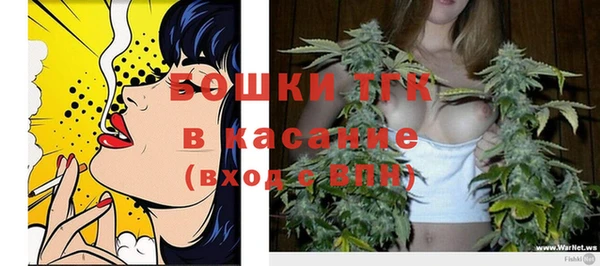 PSILOCYBIN Липки