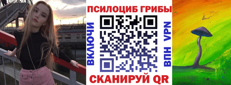 Купить где  Чёрмоз  Галлюциногенные грибы Psilocybe 